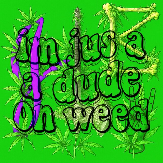 im jus a dude on weed