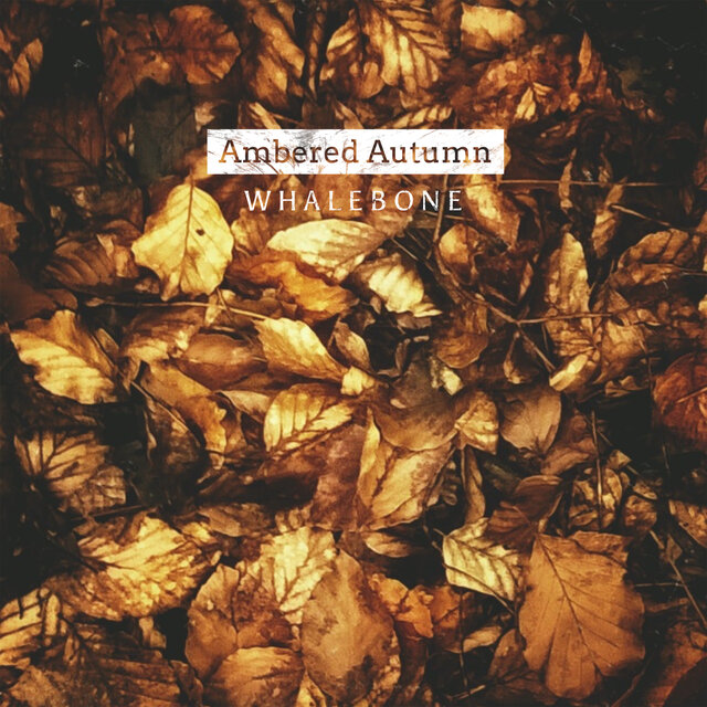 Ambered Autumn