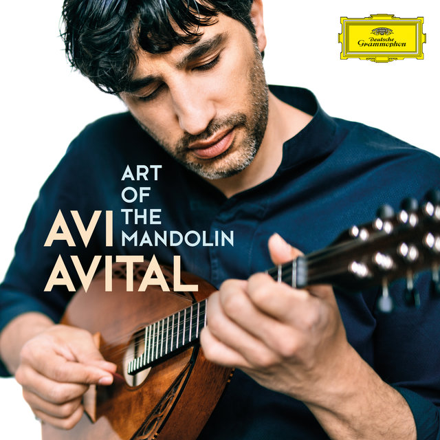 Scarlatti: Sonata in D Minor, Kk. 89: III. Allegro (Arr. for Mandolin and Basso continuo)