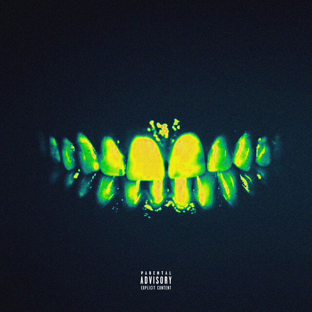 TEETH