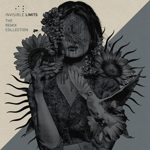 The Remix Collection