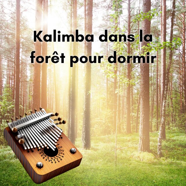 Kalimba dans la forêt pour dormir