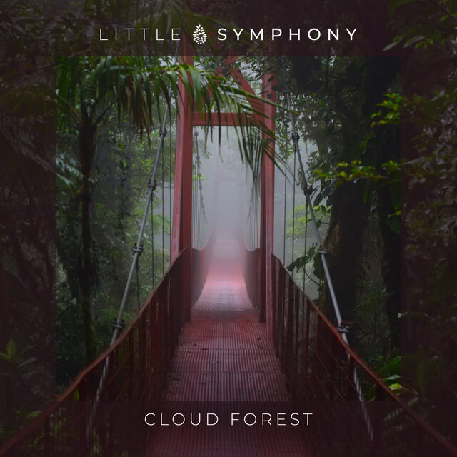 Cloud Forest