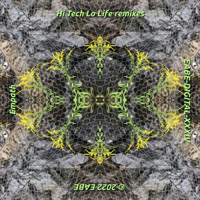 Hi Tech Lo Life Remixes