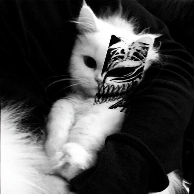 What Was I Made For? (Cat Version)