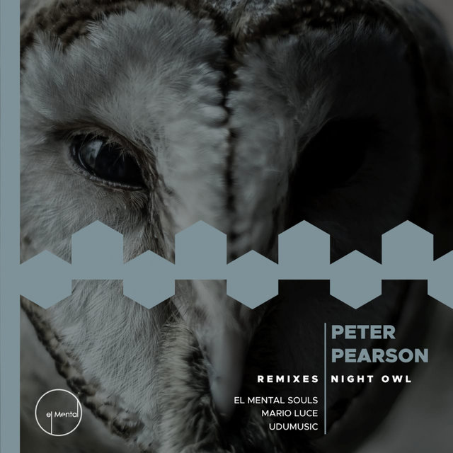 Night Owl EP