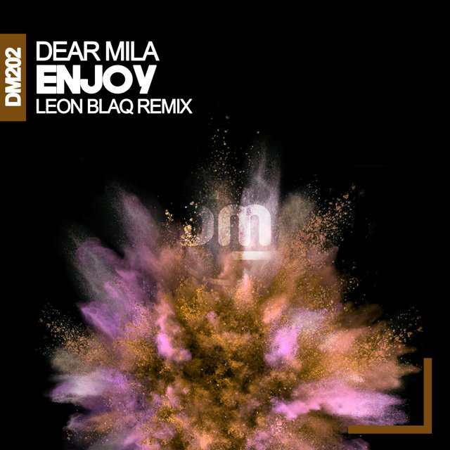 Enjoy (Leon Blaq Remix)