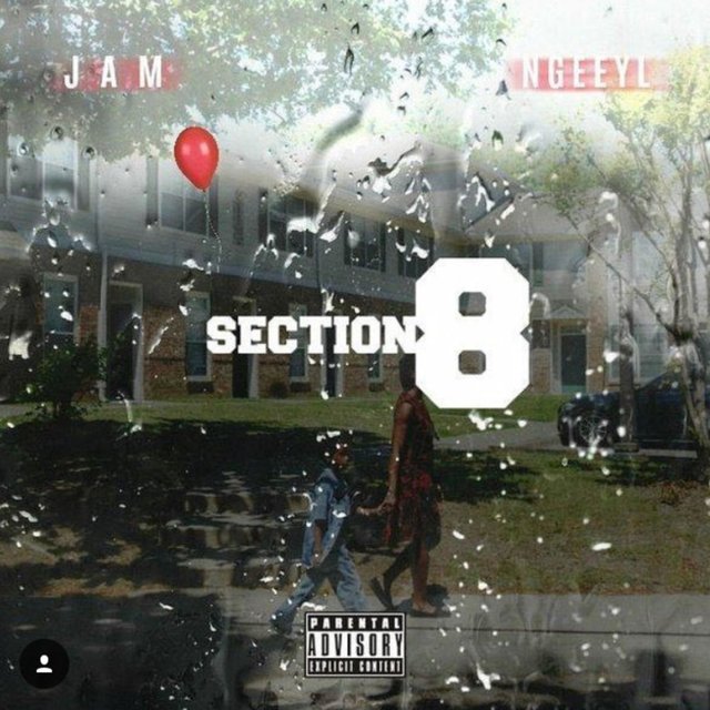 Section 8 (feat. Ngeeyl)