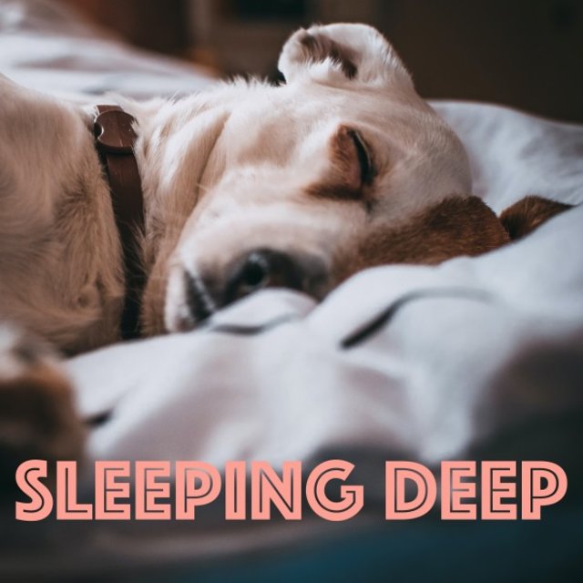 Sleeping Deep