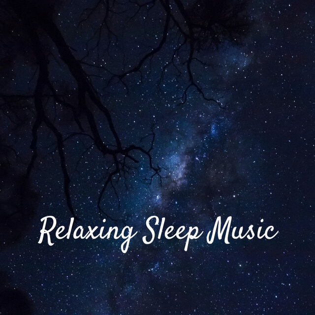 Relaxing Sleep Music