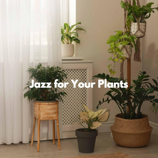 Jazz for Your Plants by Coffee House Jazz Playlist on TIDAL