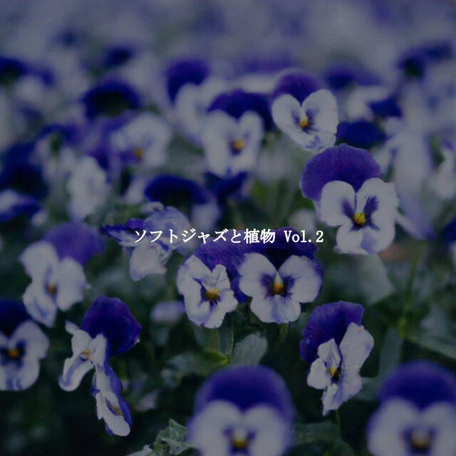 ソフトジャズと植物 Vol.2