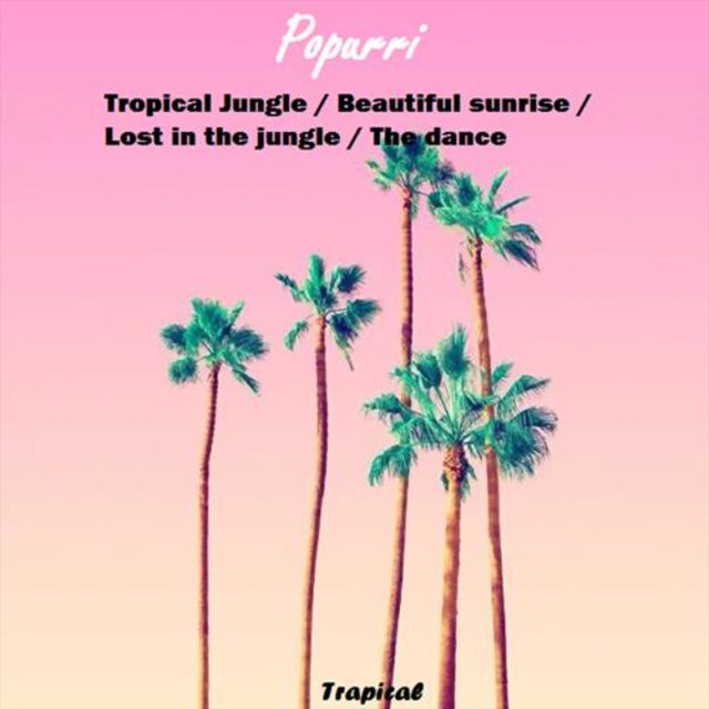 Popurri / Tropical Jungle / Beautiful Sunrise / Lost in the Jungle / The Dance