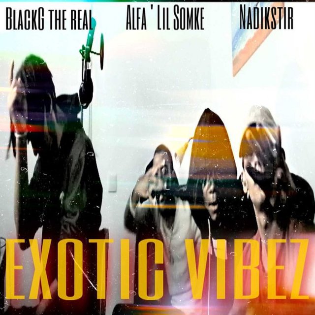 Exotic Vibez