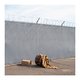 Cover art for album Anagrams by Stephen Steinbrink