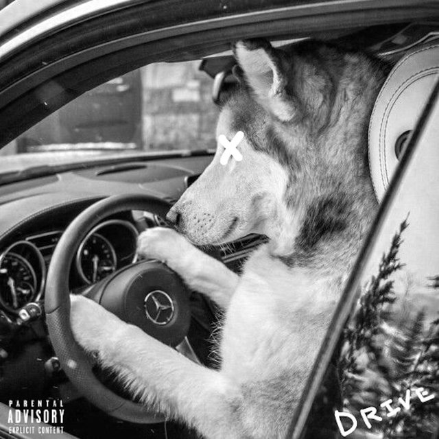 ROAD TRIP