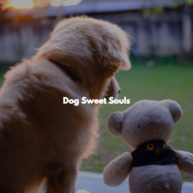 Dog Sweet Souls