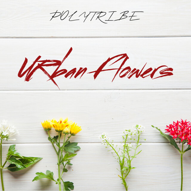 Urban Flowers