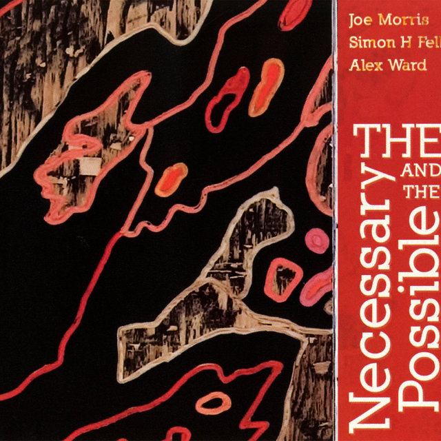 The Necessary and the Possible