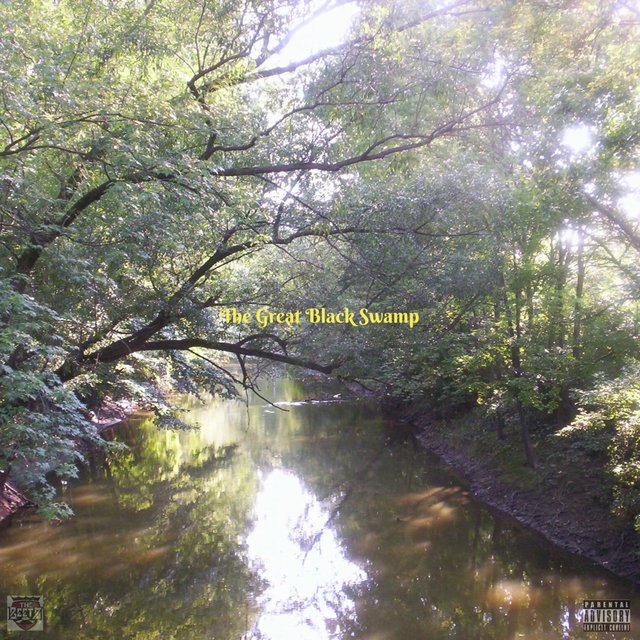 The Great Black Swamp
