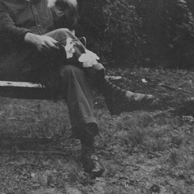 Cover art for album The Long Surrender by Needtobreathe