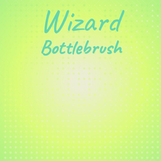 Wizard Bottlebrush