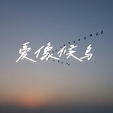 爱像候鸟