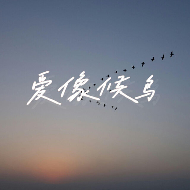 爱像候鸟