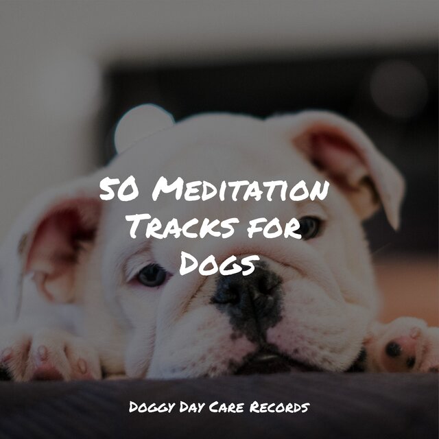 50 Meditation Tracks for Dogs