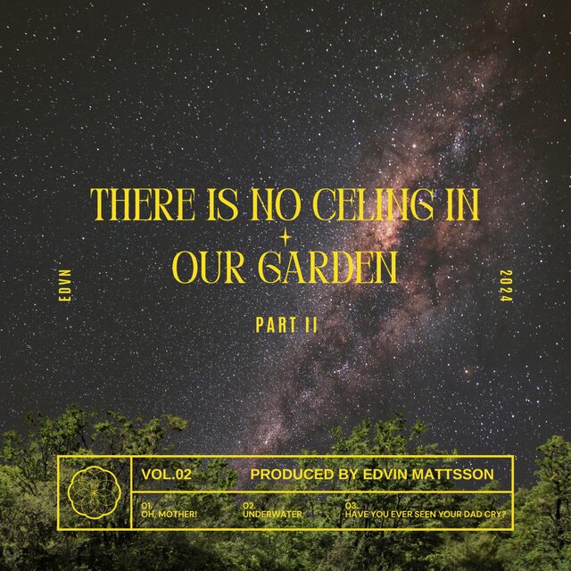 There Is No Ceiling In Our Garden (Part II)