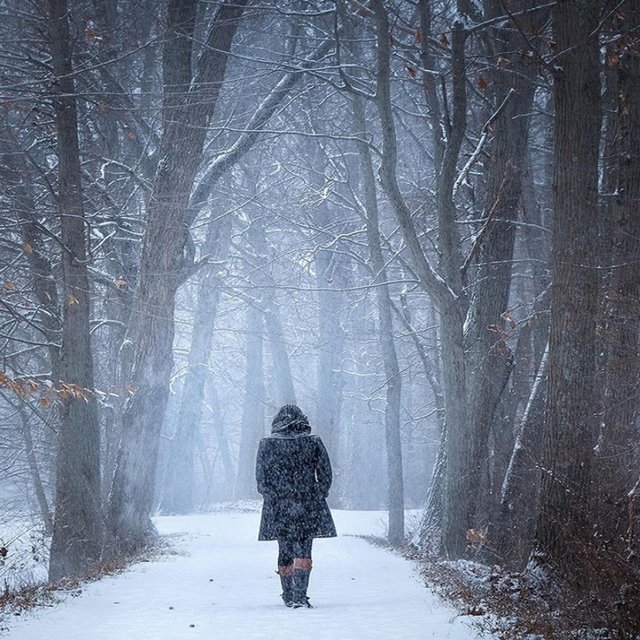 That Song (Footprints in the Snow)