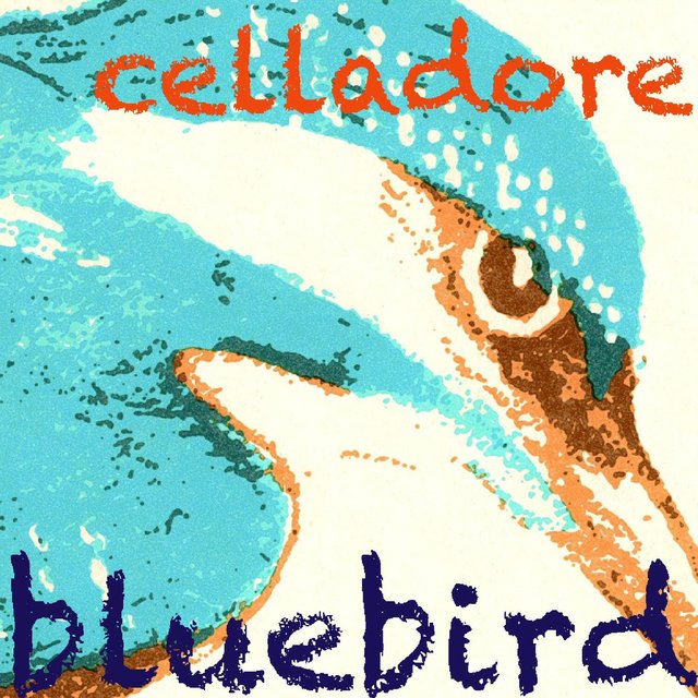 Bluebird