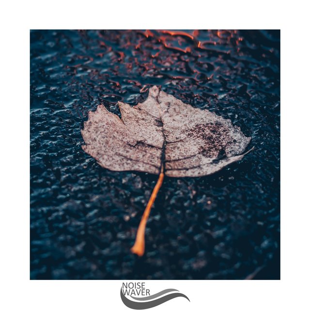 Refreshing Rain Therapy Sound