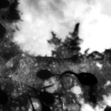 Untitled 1