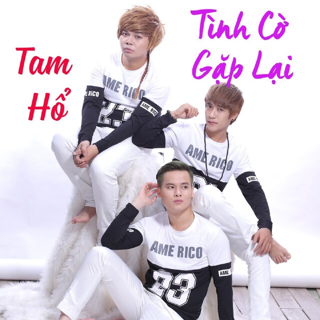 Tình Cờ Gặp Lại