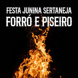 Toda gostosa usa chapéu