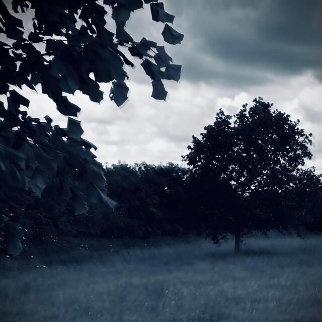 The Abandoned EP