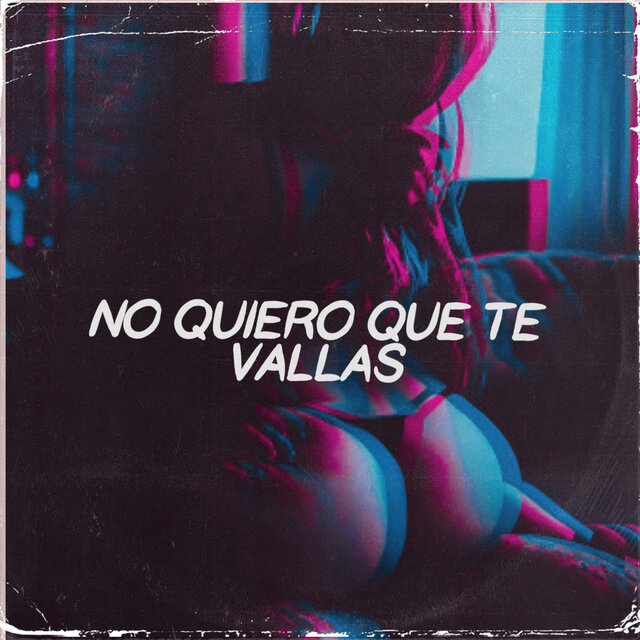 No Quiero Que Te Vallas