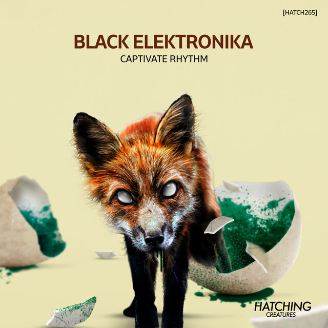 Captivate Rhythm