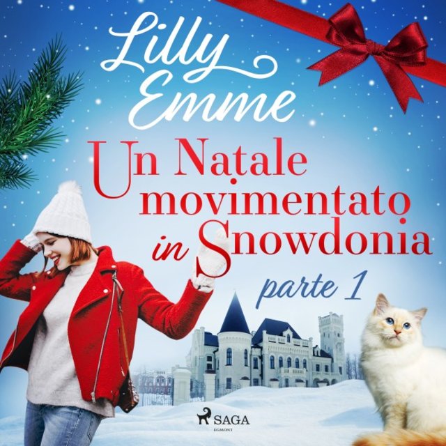 Un Natale movimentato in Snowdonia - Parte 1