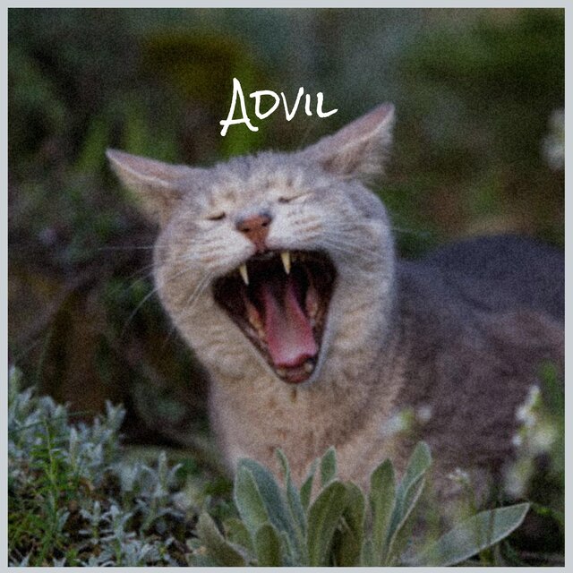 Advil