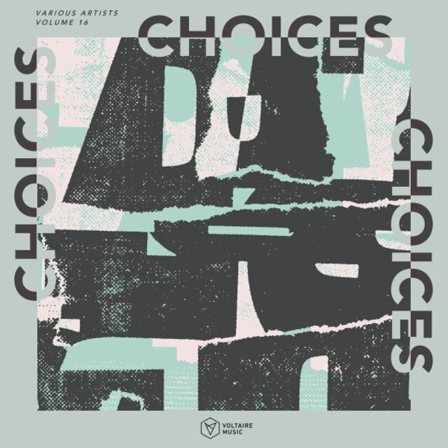 Voltaire Music Pres. Choices, Vol. 16