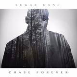 Sugarcane
