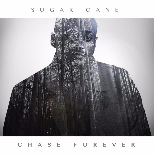 Sugarcane