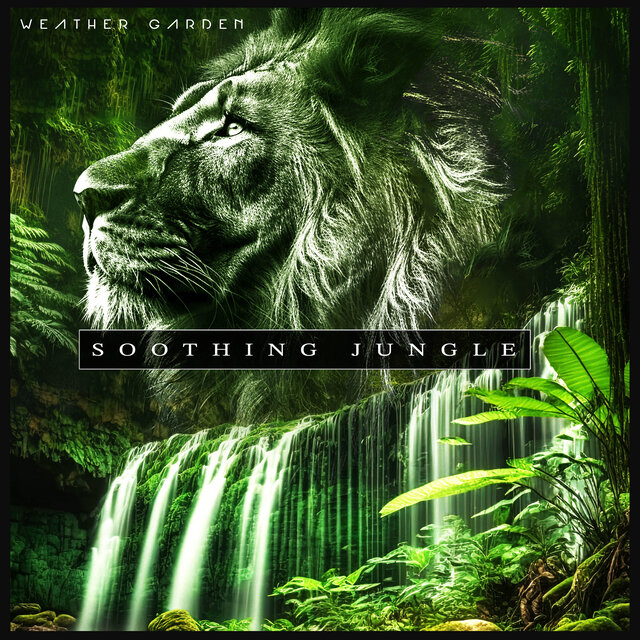 Soothing Jungle