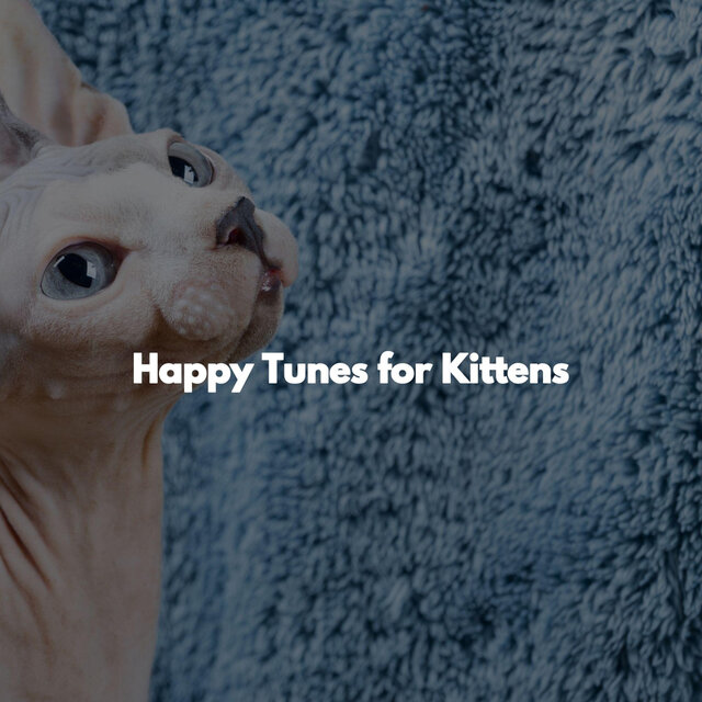 Happy Tunes for Kittens