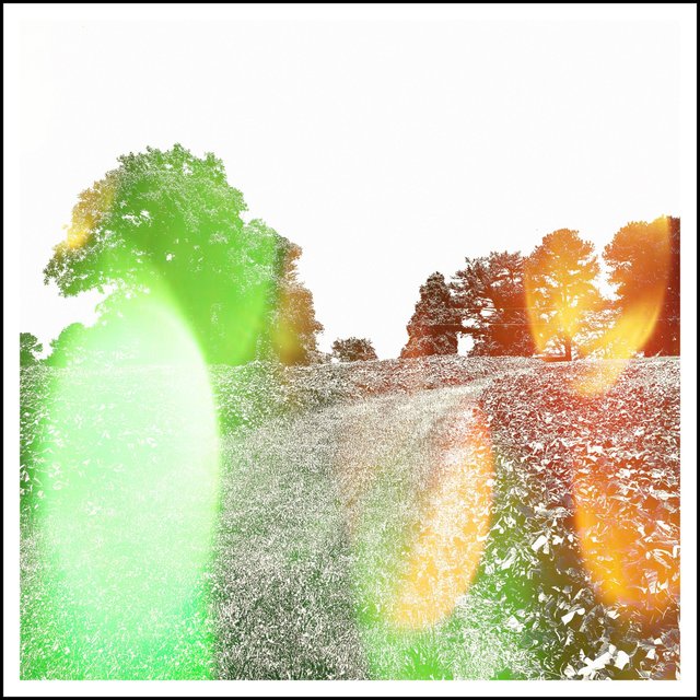 Fall for You