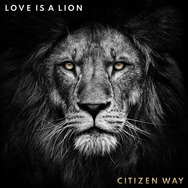 Love Is a Lion