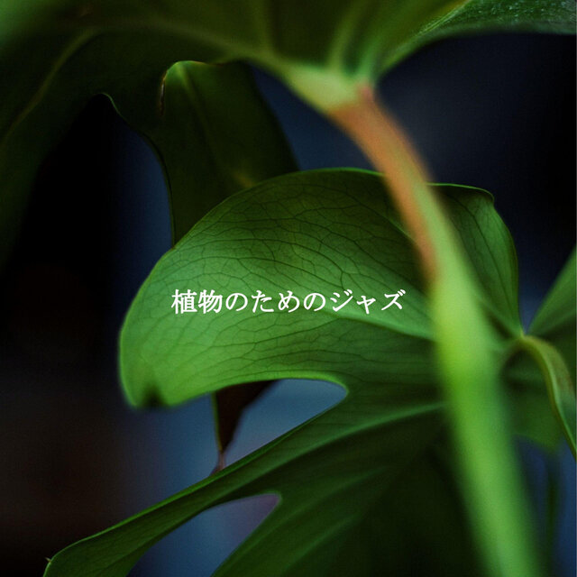 植物のためのジャズ