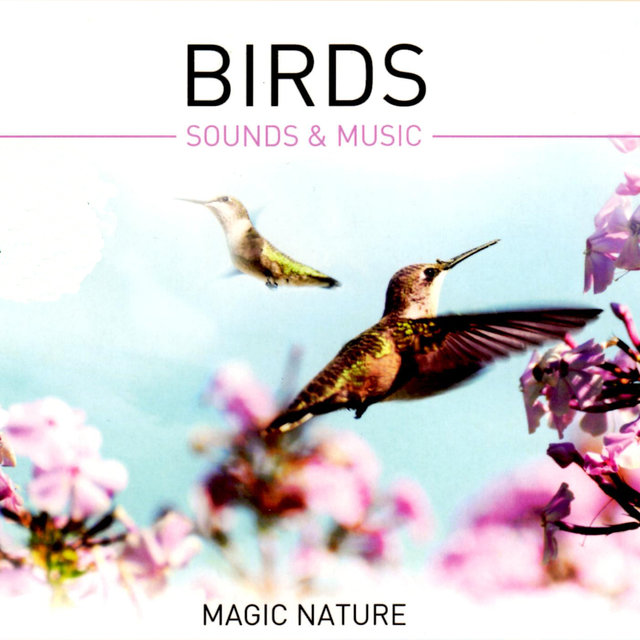 Birds - Sounds & Music (Gapless)